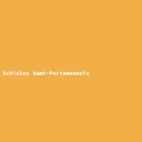 Schickes Samt-Portemonnaie